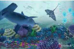 ayx官方app2024最新版