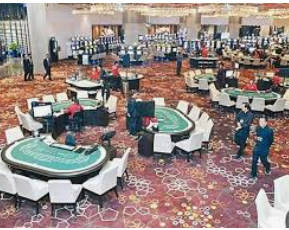 ayx官方app2024最新版